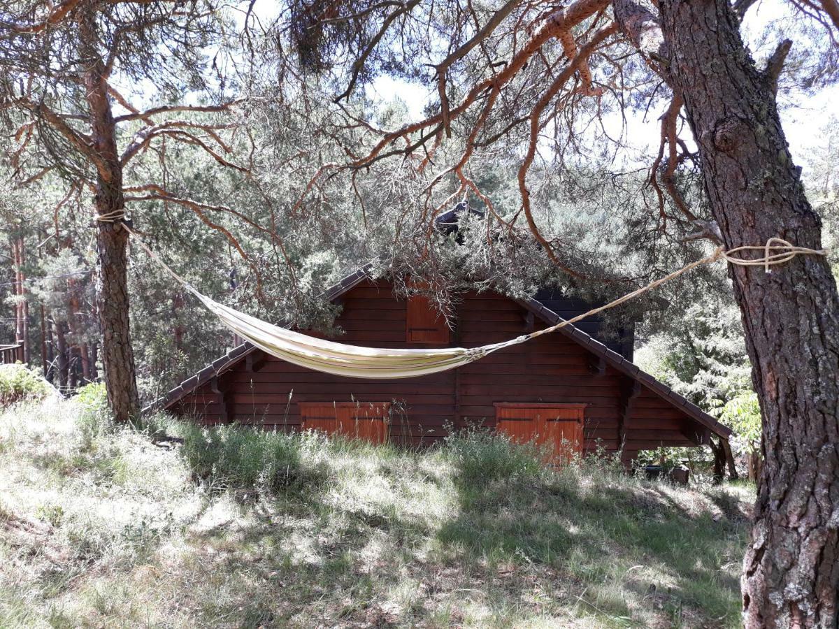 Canon Del Rio Lobos-La Cabana De Ton San Leonardo de Yagüe 外观 照片